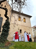 /album/fotogalerie-foto2/kvetna-nedele-2026-03-jpg/